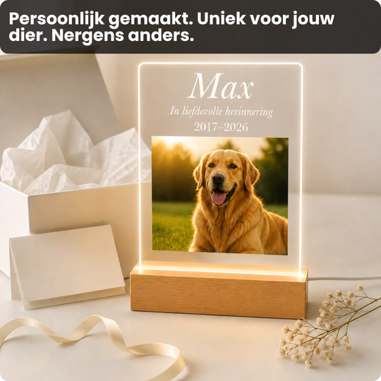 Gepersonaliseerd Huisdier Nachtlampje - Een blijvend eerbetoon aan jouw trouwe vriend