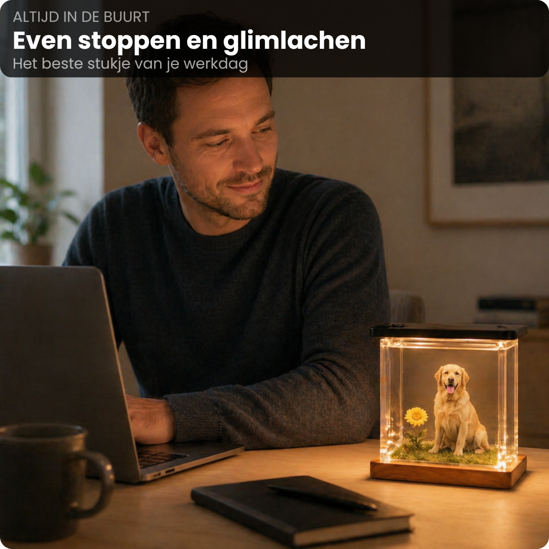 Hologram Huisdier Display - Zie jouw huisdier weer tot leven komen in 3D