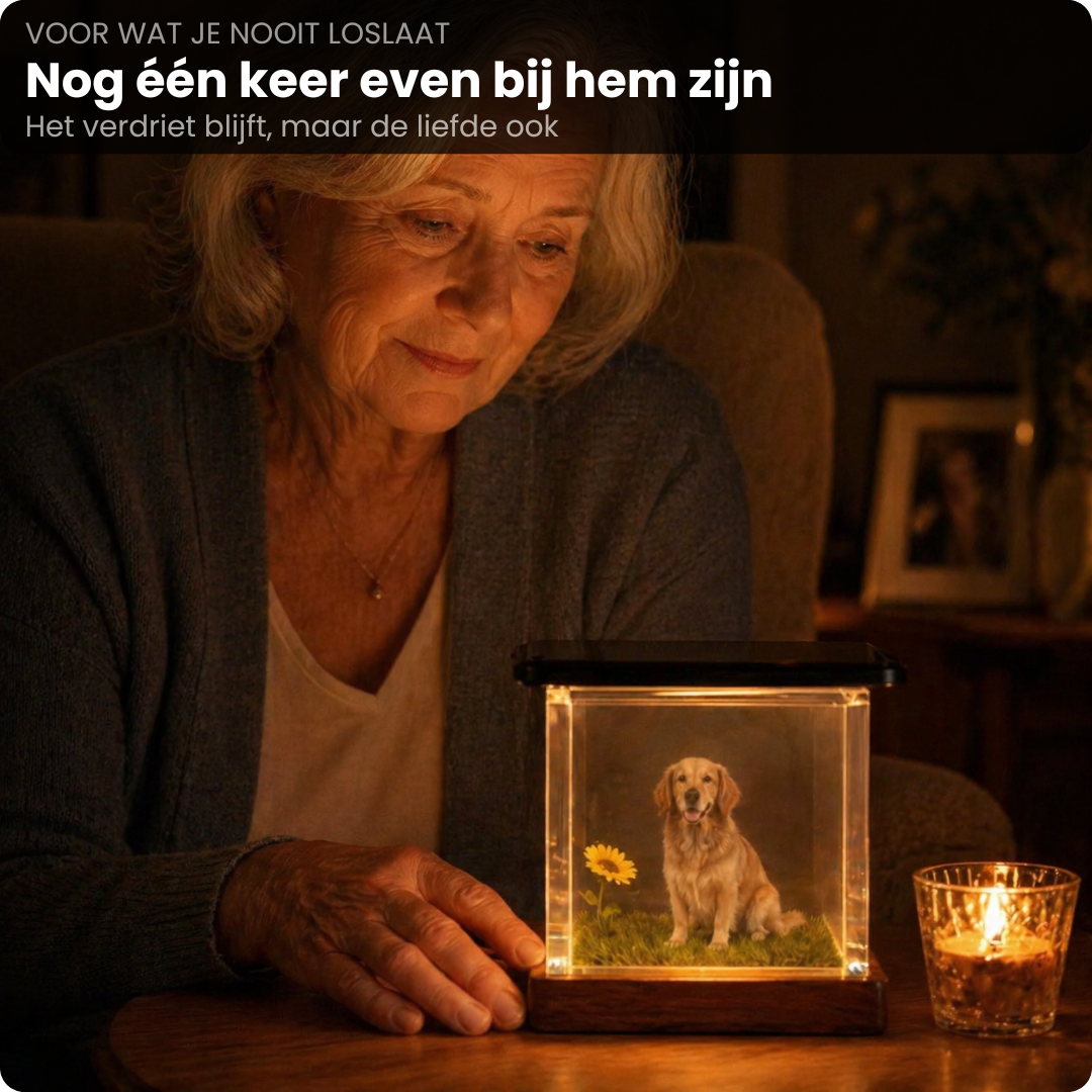 Hologram Huisdier Display - Zie jouw huisdier weer tot leven komen in 3D