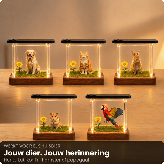 Hologram Huisdier Display - Zie jouw huisdier weer tot leven komen in 3D