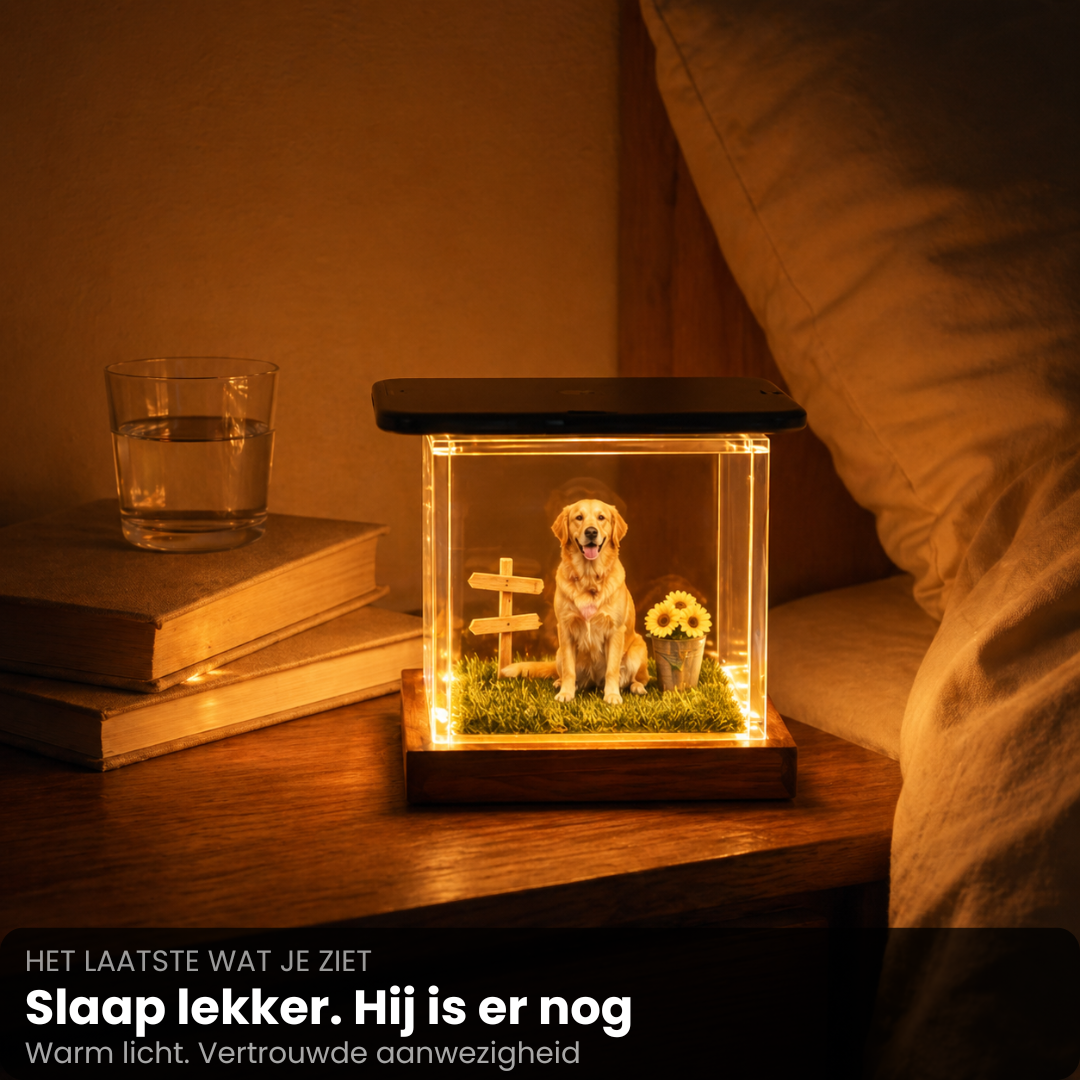 Hologram Huisdier Display - Zie jouw huisdier weer tot leven komen in 3D
