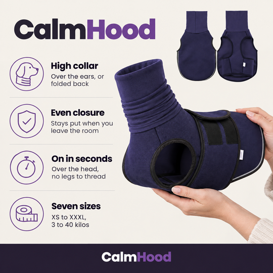 CalmHood - the offer
